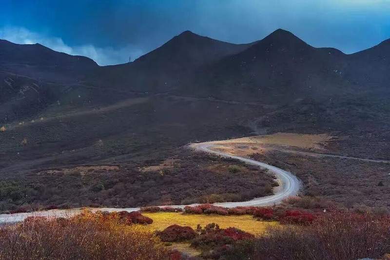  视频丨435万场，春节档观影场次创纪录，票价更惠民！ 新闻