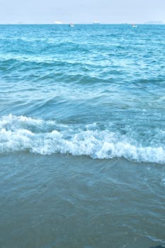  股权优化新阶段；上海建科限售股即将全流通。 股票财经 股权优化新阶段；上海建科限售股即将全流通。 股票财经 股权优化新阶段；上海建科限售股即将全流通。 股票财经 股权优化新阶段；上海建科限售股即将全流通。 股票财经