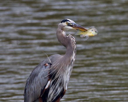  河南加速融入全国统一大市场；枢纽支点作用日益凸显；成效显著，前景广阔。 企业服务