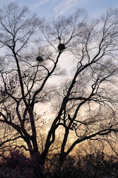  新兴领域出口增长强劲，技术创新引领外贸高质量发展。 股票财经