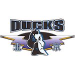  离别后的重逢：如何在记忆与现实的重叠中找寻归属感 情感心理