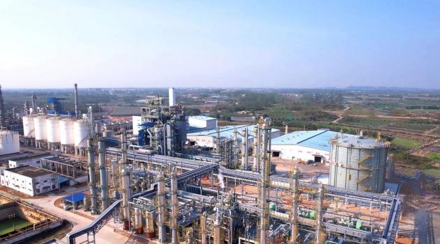  家长必读：告别焦虑，中考新政下的升学突围指南 教育招生