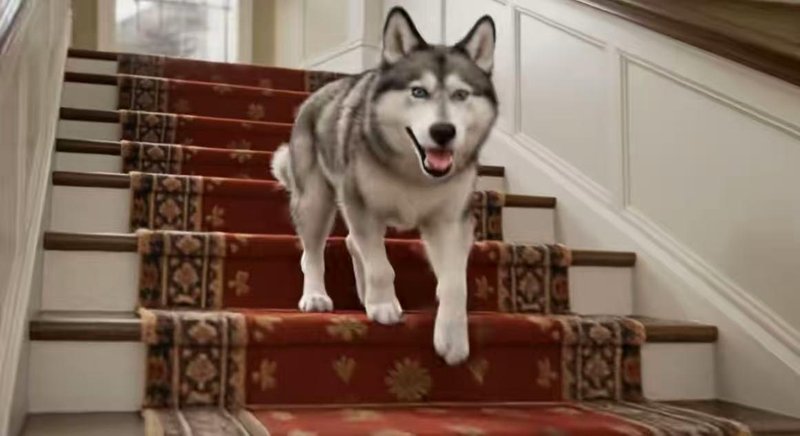  技术突破：匿名模型HappyHorse-1.0登顶评测榜的深层逻辑 IT技术