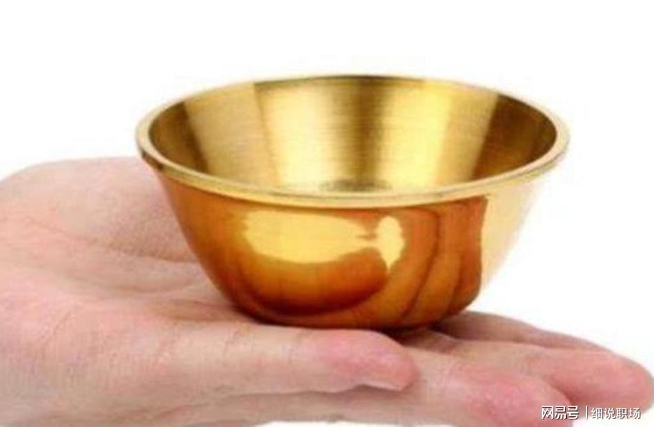 从职业周期视角看抗周期行业：一个技术人的深度复盘