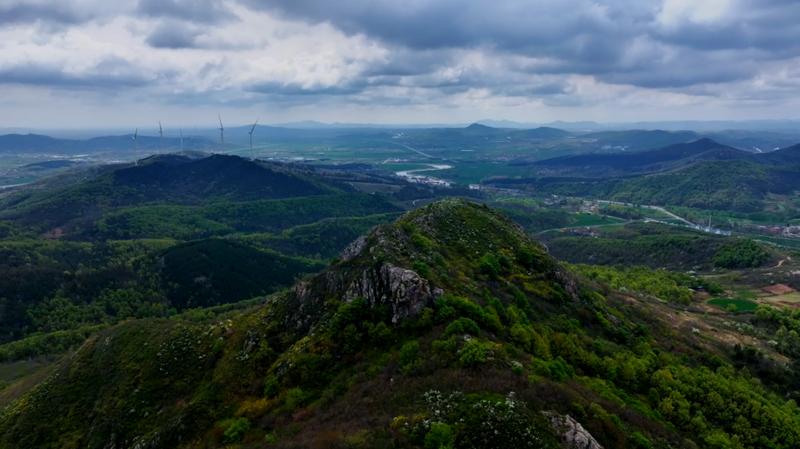  确山白鹃梅生态密码：岩质山地植物群落的垂直分布与景观营造 文化旅游