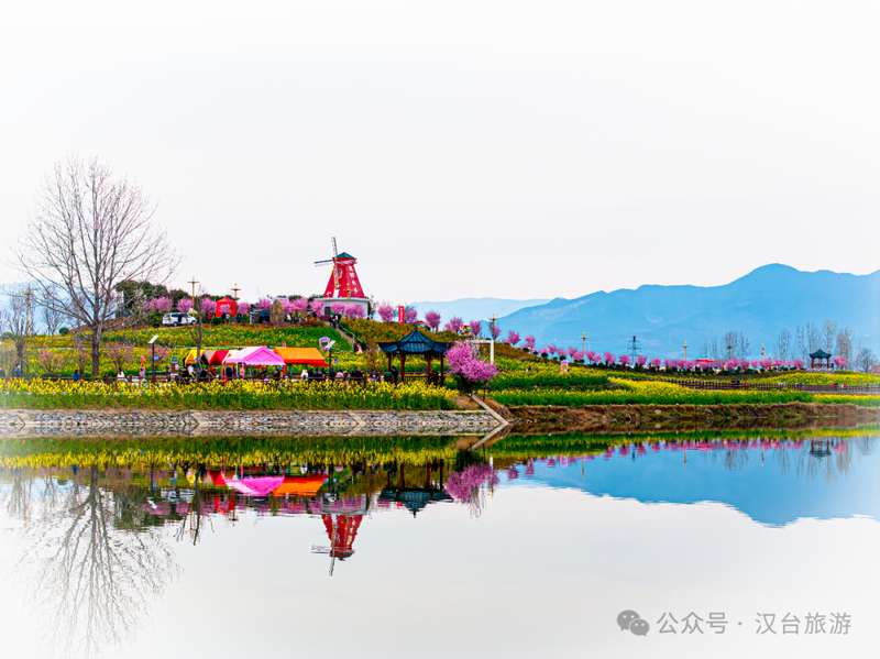  【技术深度】油菜花短视频创作指南：从拍摄参数到剪辑逻辑的完整方法论 文化旅游