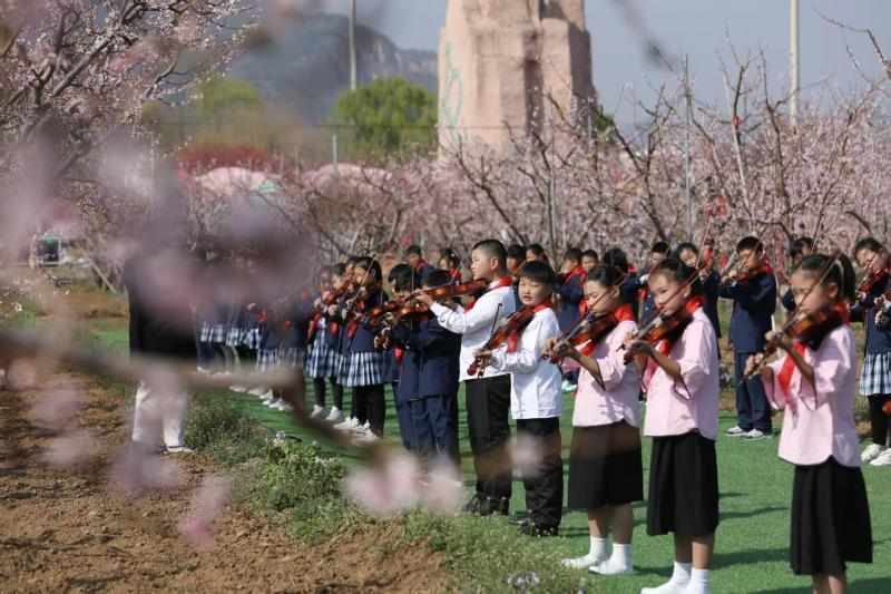  当万亩桃花盛开时，一座小城学会了如何温柔地留住人心 文化旅游