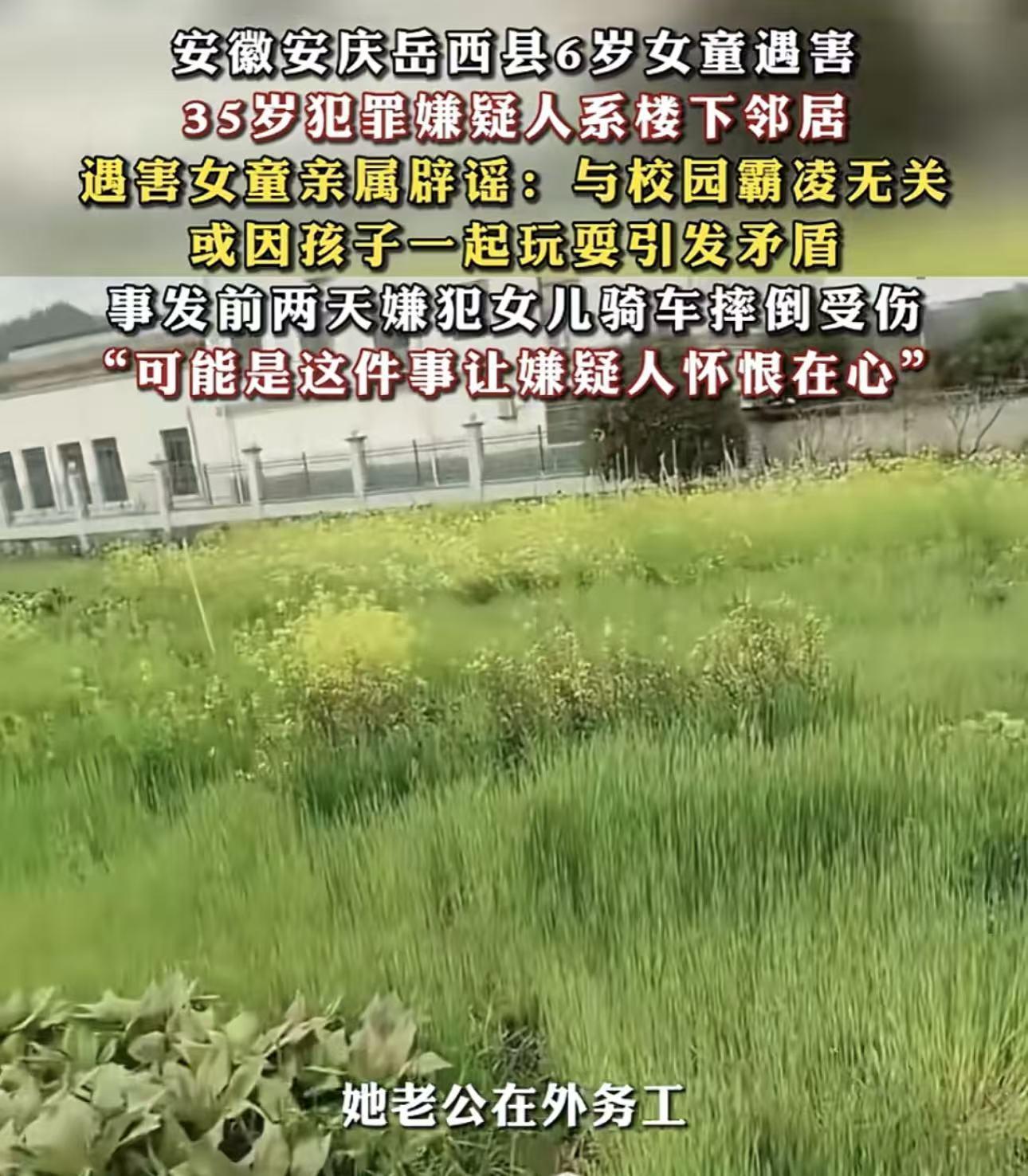  安徽6岁女童被害案深度还原：一次邻里冲突如何酿成不可挽回的悲剧 新闻