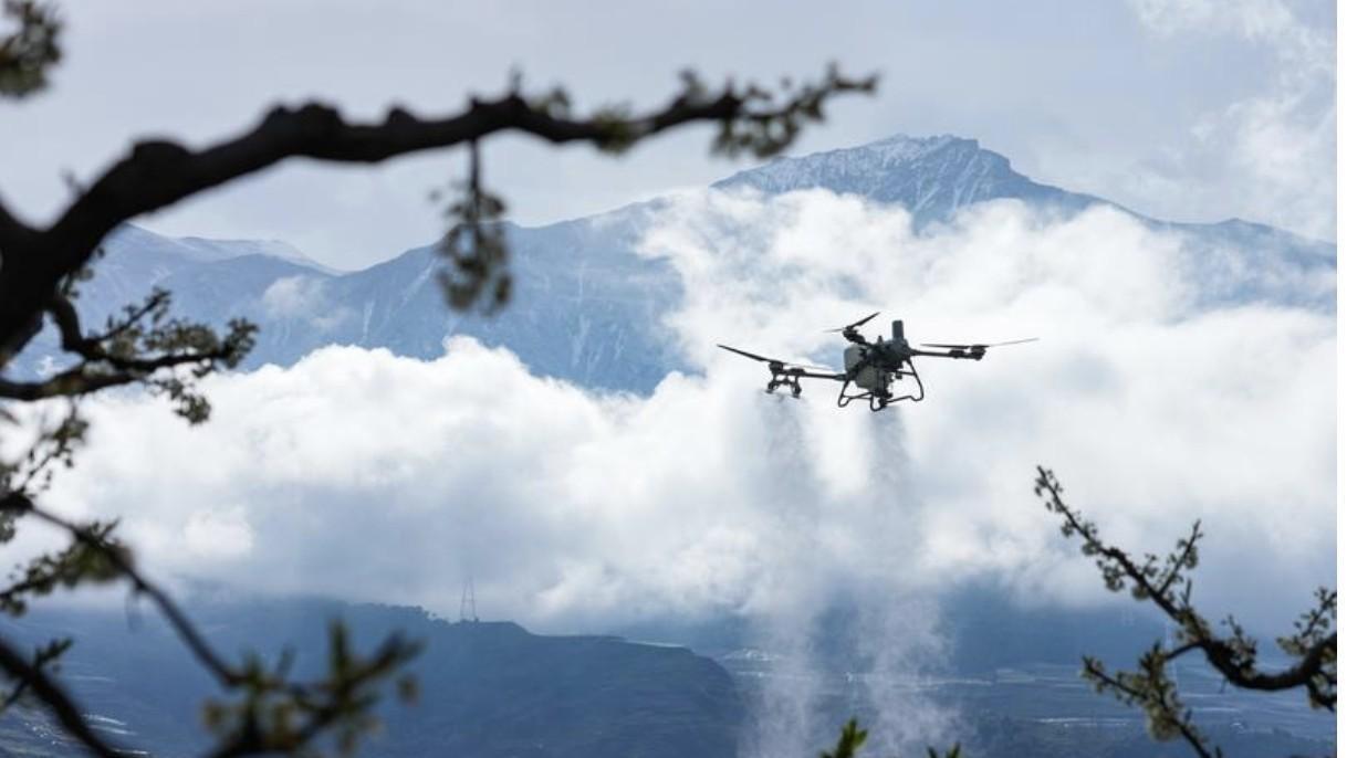 营收增长背后的利润困局：奕帆传动一季度财报深度解剖 股票财经