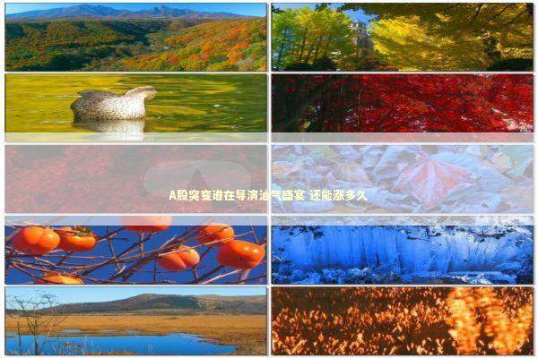 A股突变谁在导演油气盛宴 还能涨多久 新闻