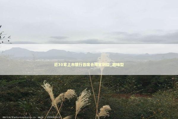 近30家上市银行首席合规官到位_趣味型 新闻