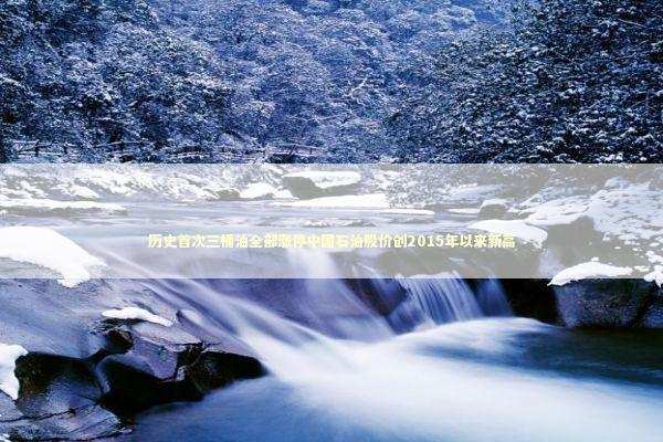 历史首次三桶油全部涨停中国石油股价创2015年以来新高 新闻