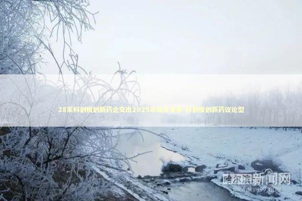 28家科创板创新药企交出2025年成长答卷-科创板创新药议论型 新闻