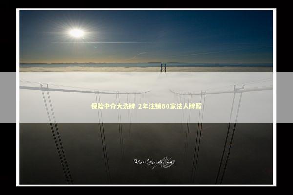 保险中介大洗牌 2年注销60家法人牌照 新闻