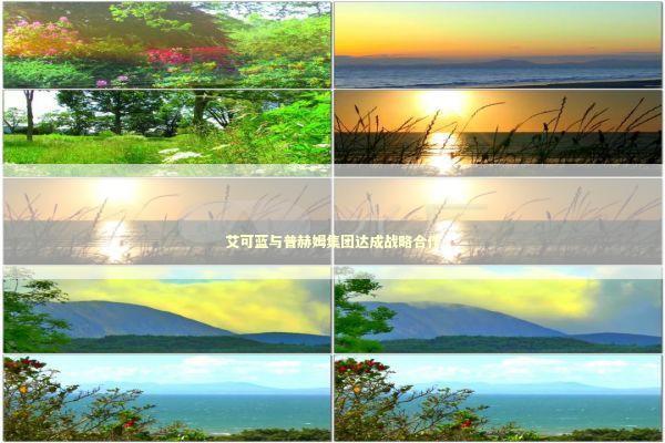 艾可蓝与普赫姆集团达成战略合作 新闻