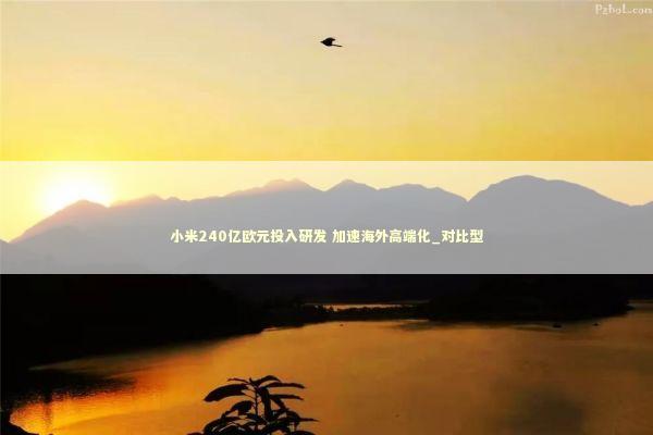 小米240亿欧元投入研发 加速海外高端化_对比型 新闻