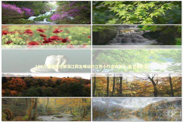 100斤直接抢空被浙江网友喊话的江西小炒连夜复工-美食悬念型 新闻