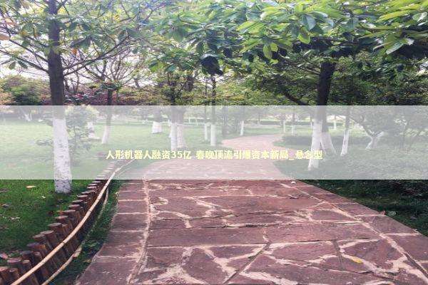 人形机器人融资35亿 春晚顶流引爆资本新局_悬念型 新闻