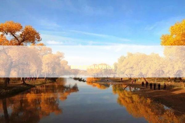 霍尔木兹海峡与甲醇价格 新闻