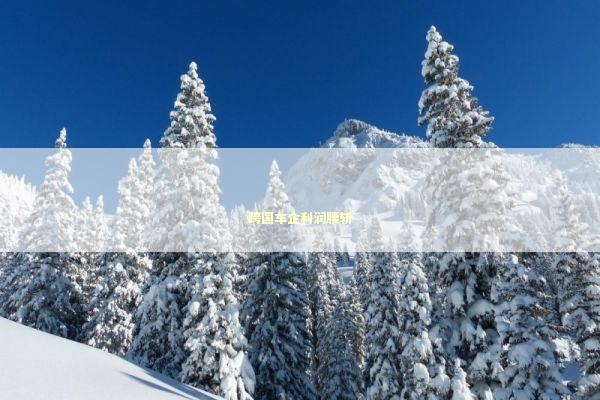 跨国车企利润腰斩 新闻