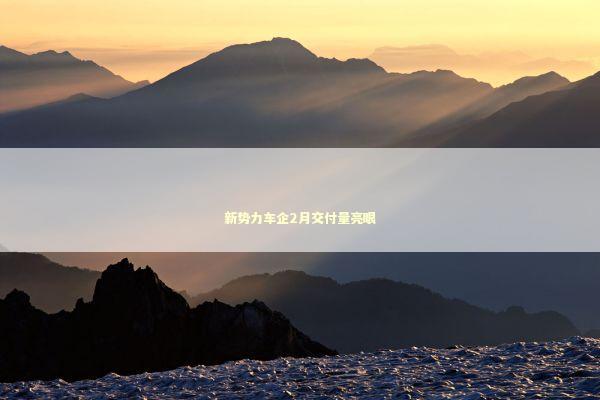 新势力车企2月交付量亮眼 新闻