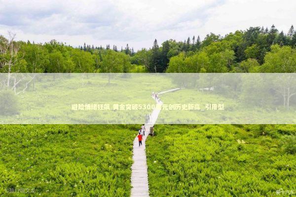 避险情绪狂飙 黄金突破5300美元创历史新高_引用型 新闻