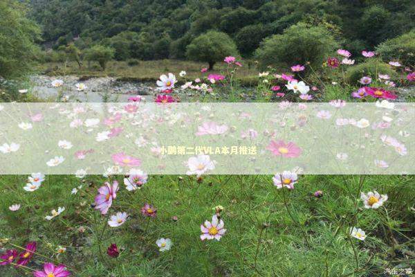 小鹏第二代VLA本月推送 新闻