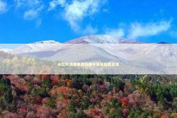 AI芯片浪潮来袭韩国半导体称霸全球 新闻