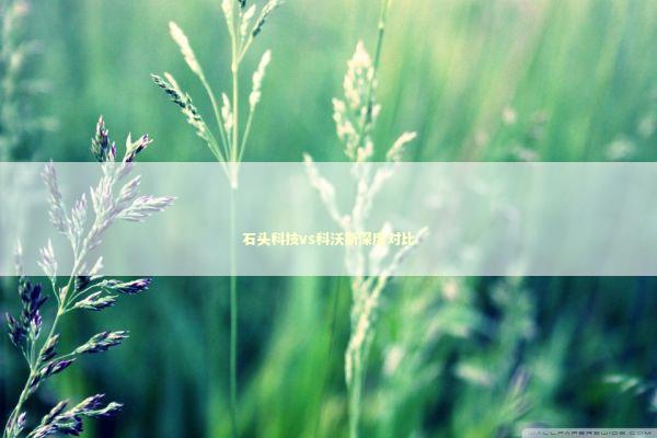 石头科技vs科沃斯深度对比