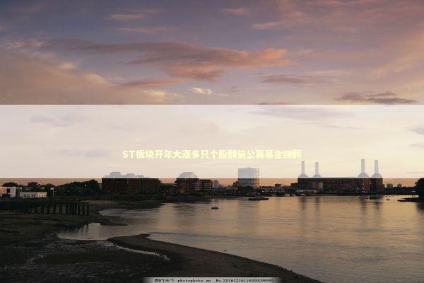 ST板块开年大涨多只个股翻倍公募基金赚翻 新闻