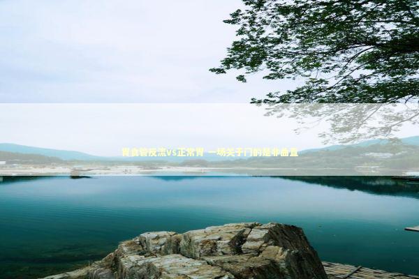 胃食管反流vs正常胃 一场关于门的是非曲直 新闻