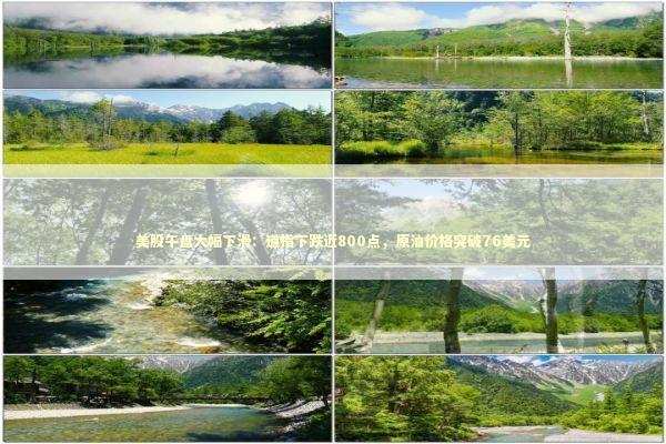 美股午盘大幅下滑：道指下跌近800点，原油价格突破76美元 新闻