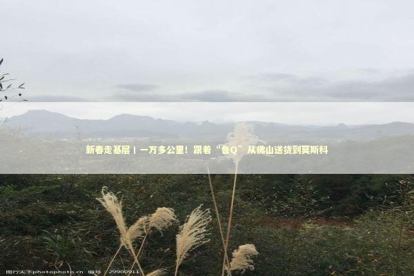 新春走基层丨一万多公里！跟着“鲁Q”从佛山送货到莫斯科 新闻