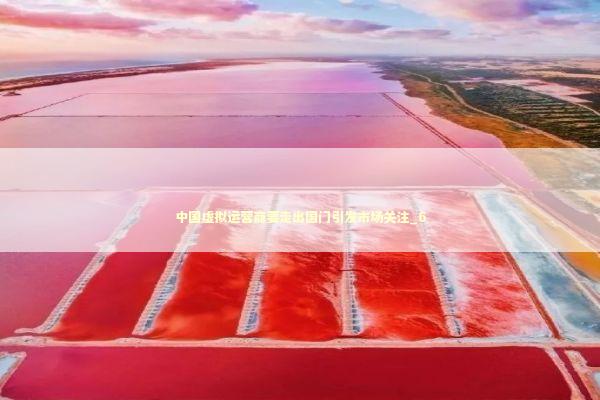 中国虚拟运营商要走出国门引发市场关注_6 新闻