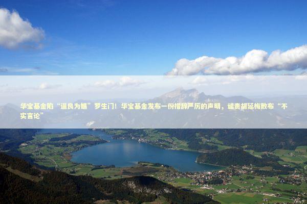 华宝基金陷“逼良为娼”罗生门！华宝基金发布一份措辞严厉的声明，谴责胡延梅散布“不实言论” 新闻