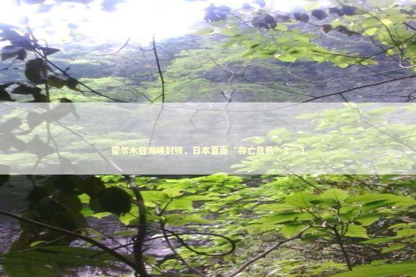 霍尔木兹海峡封锁，日本直面“存亡危机”？_3 新闻