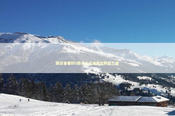 融资客看好5股买入占成交比例超三成 新闻