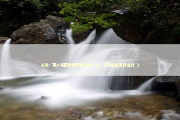 波媒：莱万将因眼眶骨折缺阵一场，之后佩戴面具出战_3 新闻