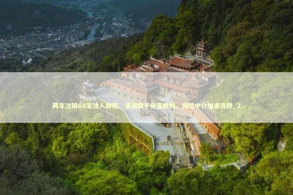 两年注销60家法人牌照、清退数千分支机构，保险中介加速洗牌_2 新闻