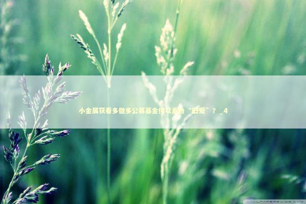 小金属获看多做多公募基金何以重拾“旧爱”？_4 新闻