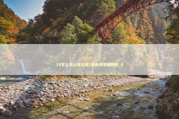 19家公司公布年报5家业绩增幅翻倍_4 新闻