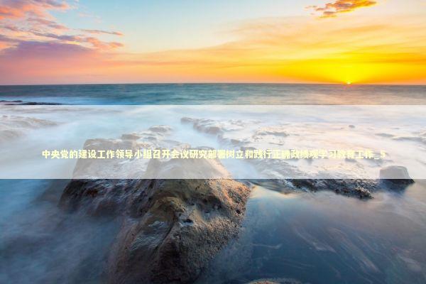 中央党的建设工作领导小组召开会议研究部署树立和践行正确政绩观学习教育工作_5 新闻