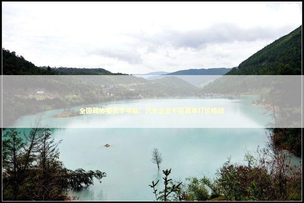 全国政协委员李书福：汽车企业不应简单打价格战 新闻