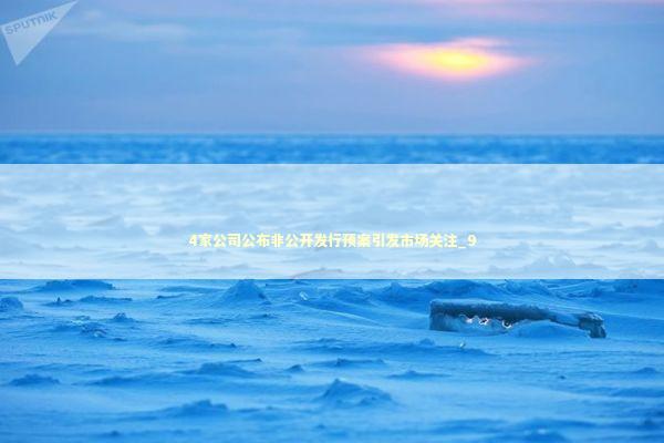 4家公司公布非公开发行预案引发市场关注_9 新闻