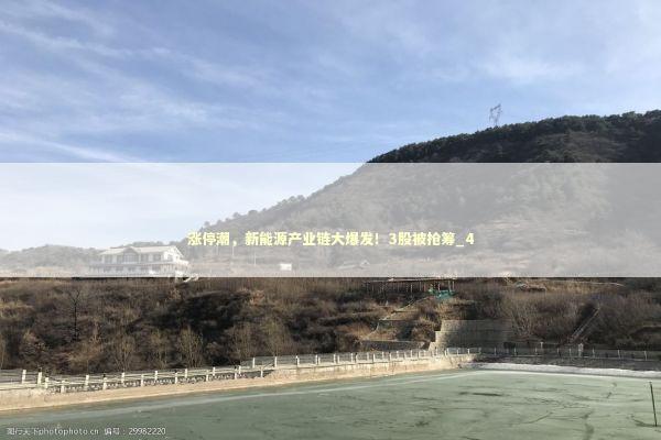 涨停潮，新能源产业链大爆发！3股被抢筹_4 新闻