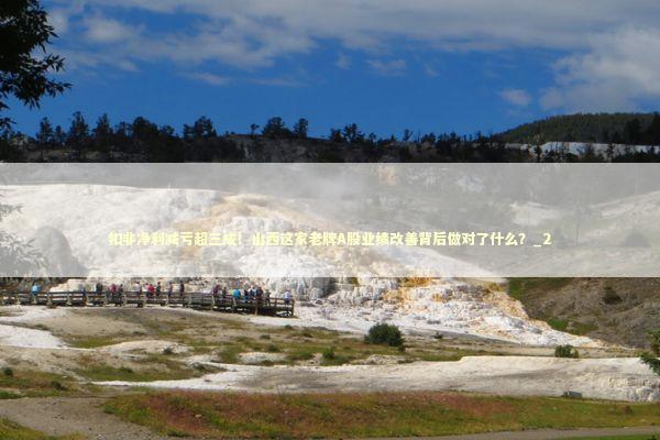 扣非净利减亏超三成！山西这家老牌A股业绩改善背后做对了什么？_2 新闻