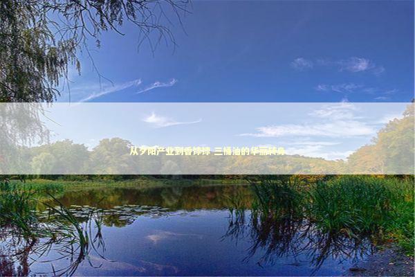 从夕阳产业到香饽饽 三桶油的华丽转身 新闻