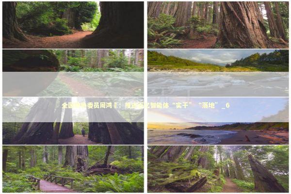 全国政协委员周鸿祎：推进百亿智能体“实干”“落地”_6 新闻