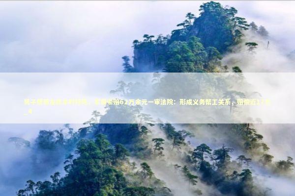 男子帮朋友抓羊时猝死，家属索赔62万余元一审法院：形成义务帮工关系，赔偿近17万_4