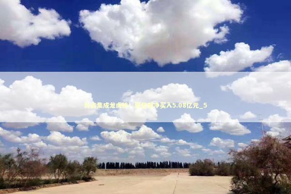 协鑫集成龙虎榜：营业部净买入5.08亿元_5 新闻